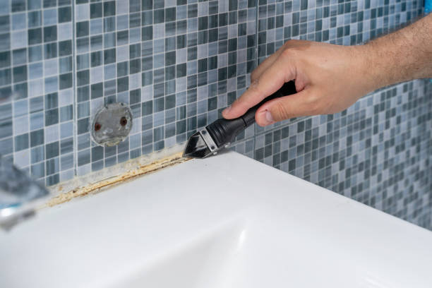 Best Local Mold Removal Service  in Pretty Bayou, FL