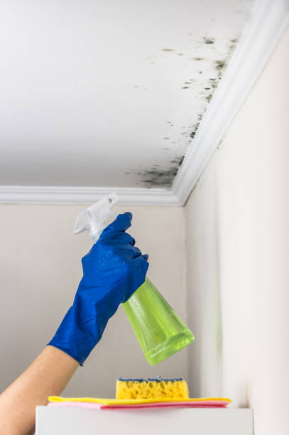 Best Crawl Space Mold Removal  in Pretty Bayou, FL